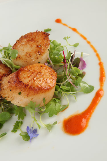 Image of COM: Scallop Sea North Atlantic 10-20 ct. - 2 x 5 Pounds